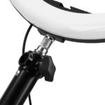 Lampe à anneau suspendue 5