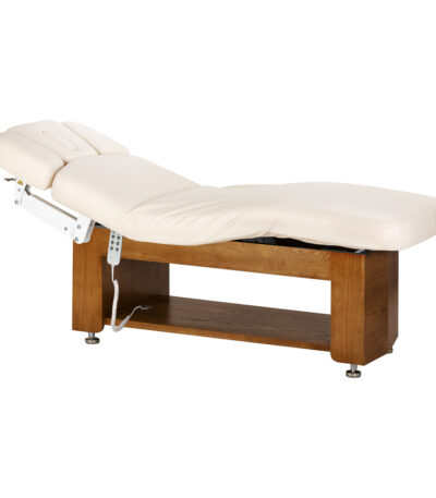 Elektrische SPA-ligstoel Sillon Leisure Premium 1